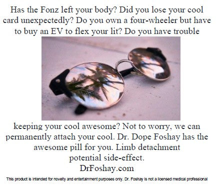 COOL1 Want to be Cool