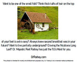 HOB1 Want to be the small folk?