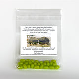 SB2 Want Small Boobs